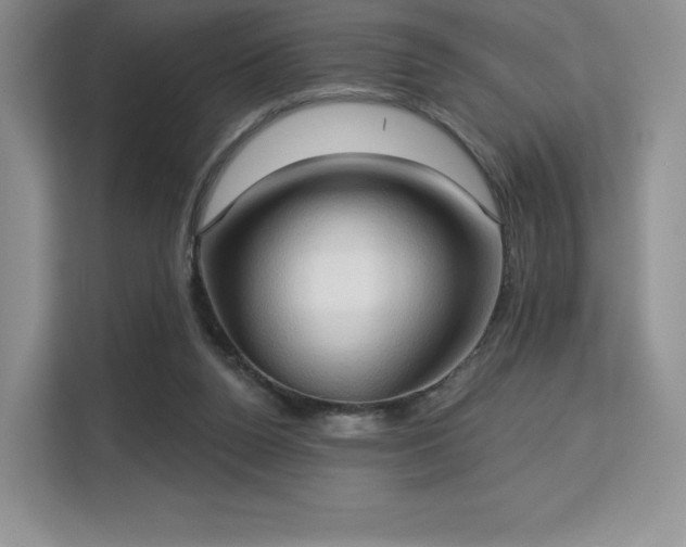 X0000113130160200909110921