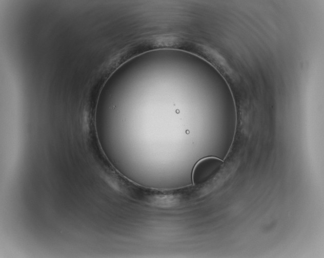 X0000113130161200909110921