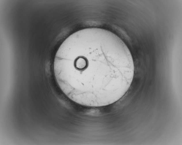 X0000113130162200909110921