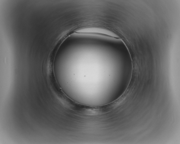 X0000113130164200909110921