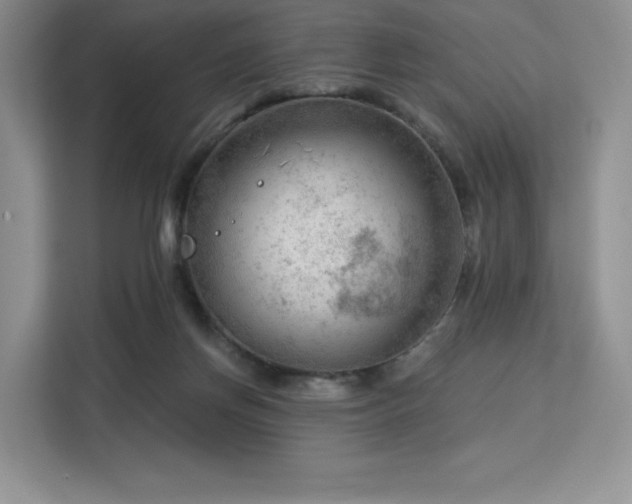 X0000113130166200909110921