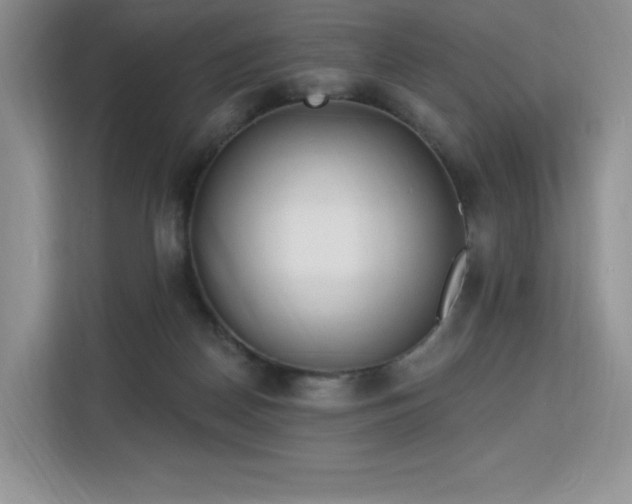 X0000113130170200909110921