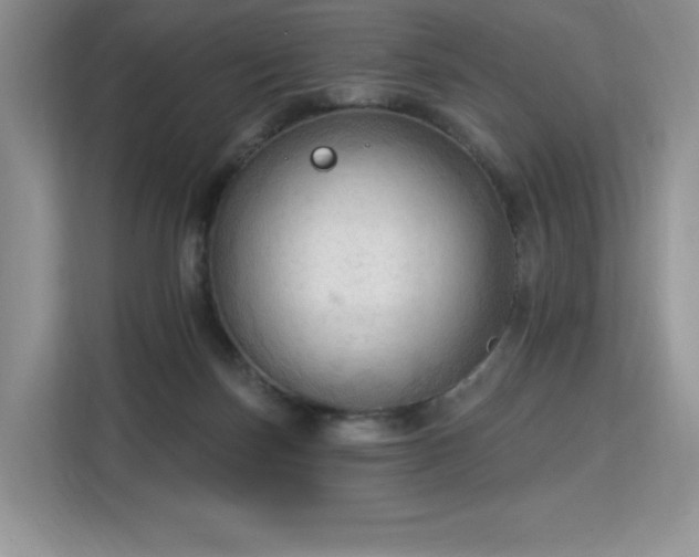 X0000113130171200909110921