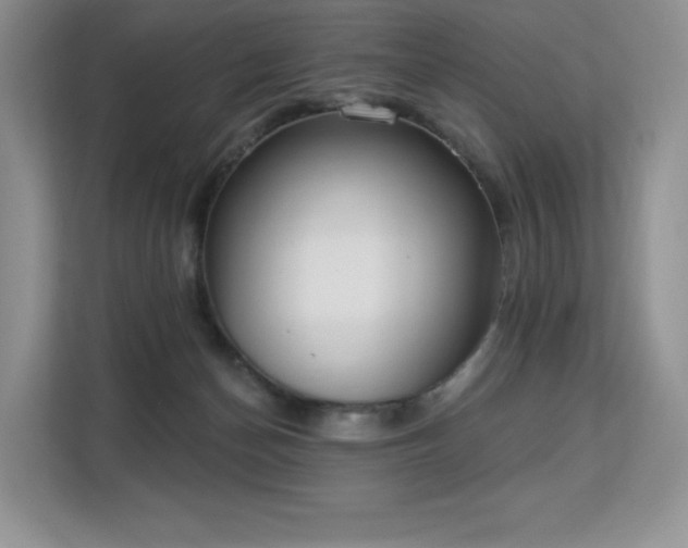 X0000113130174200909110921