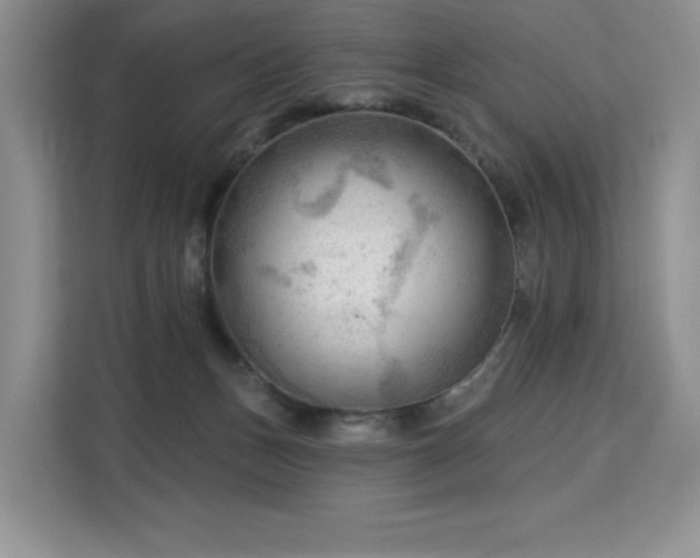 X0000113130175200909110921