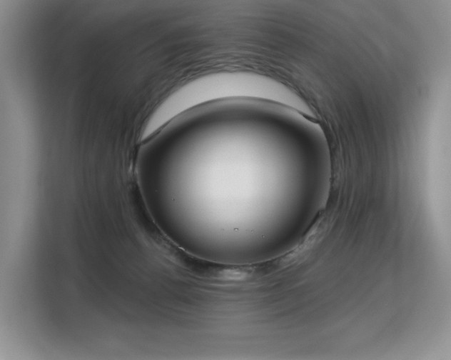 X0000113130176200909110921