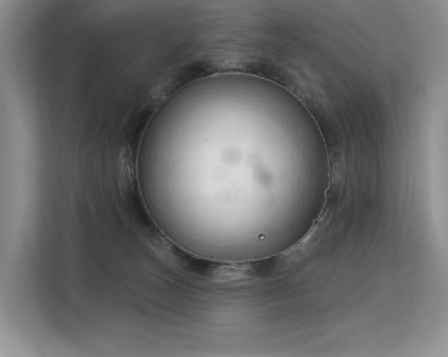 X0000113130179200909110921