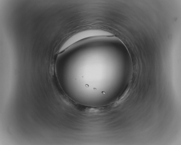 X0000113130180200909110921