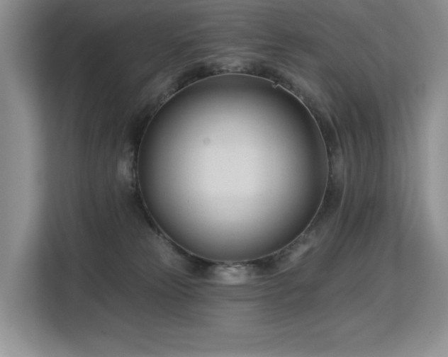 X0000113130181200909110921