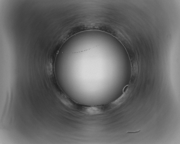 X0000113130183200909110921