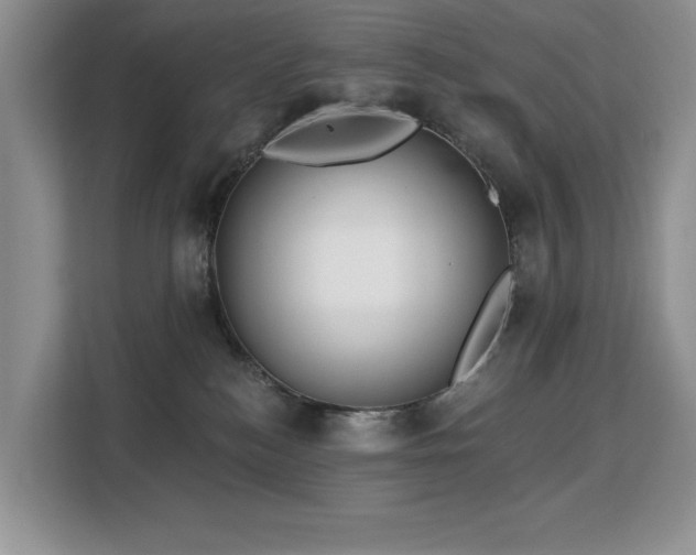 X0000113130184200909110921