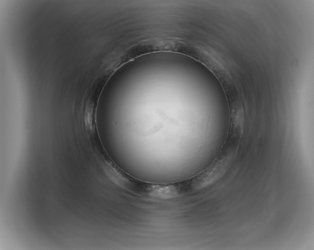 X0000113130185200909110921