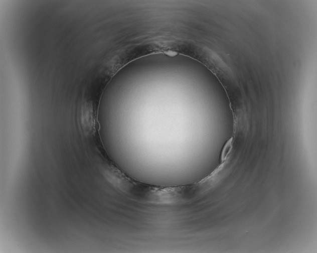 X0000113130186200909110921