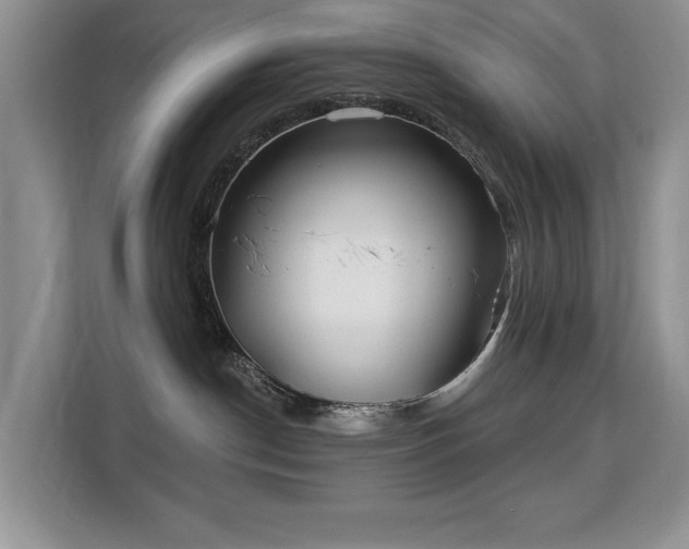 X0000113130190200909110921