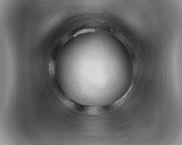 X0000113130191200909110921