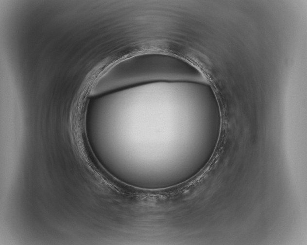 X0000113130193200909110921