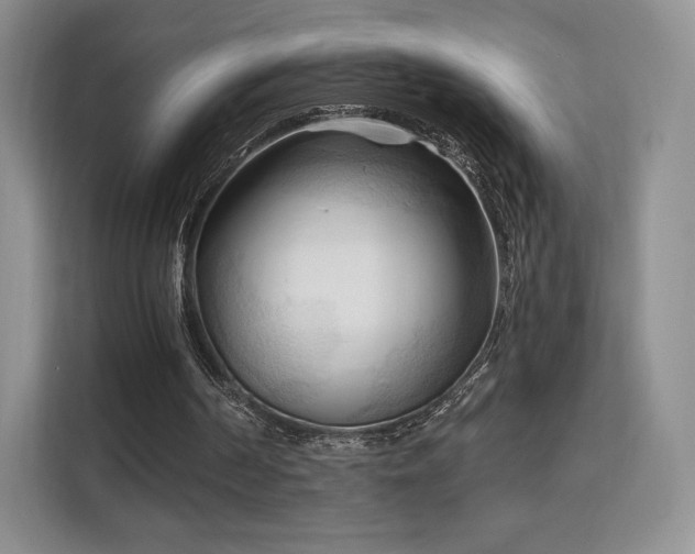 X0000113130194200909110921