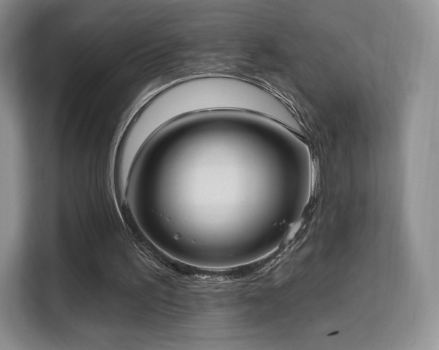 X0000113130195200909110921