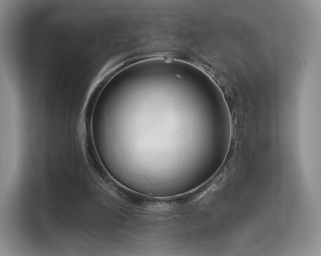 X0000113130198200909110921