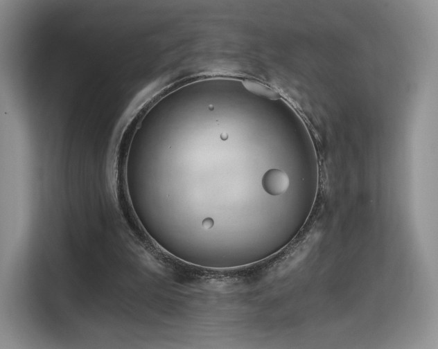 X0000113130199200909110921