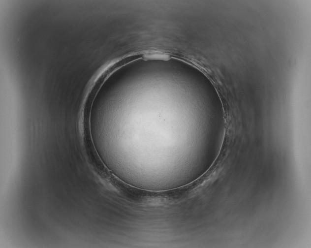 X0000113130200200909110921