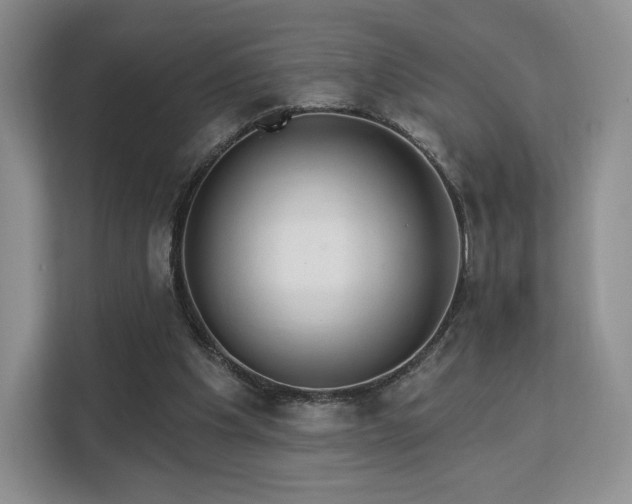 X0000113130201200909110920