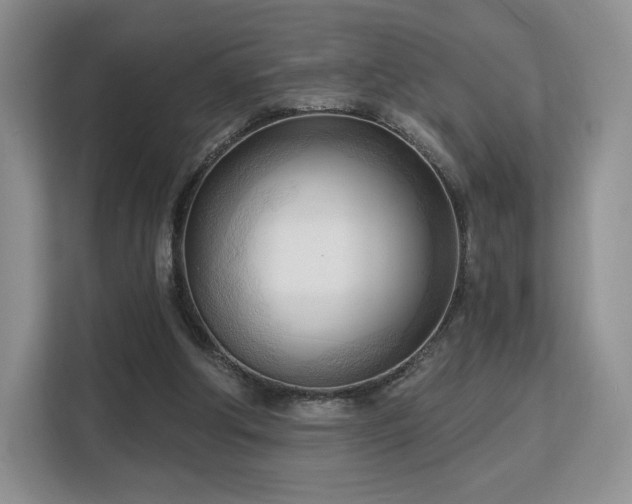 X0000113130202200909110920