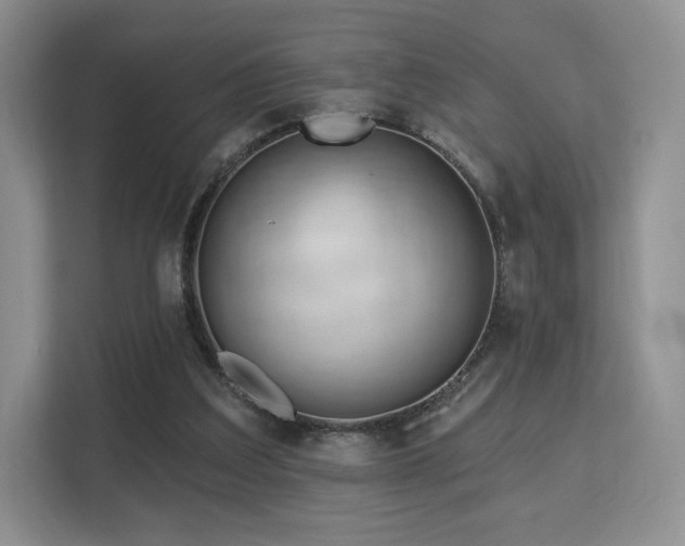 X0000113130203200909110920