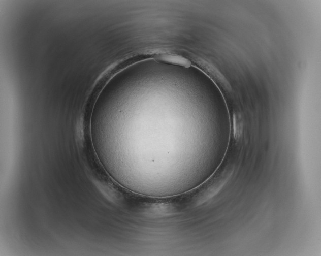 X0000113130204200909110920