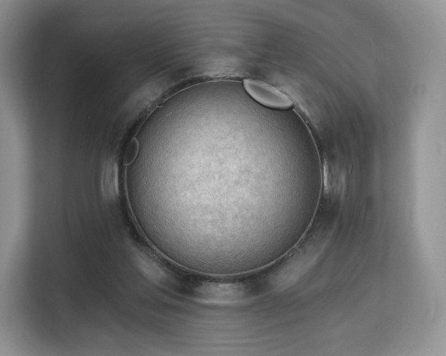 X0000113130205200909110920