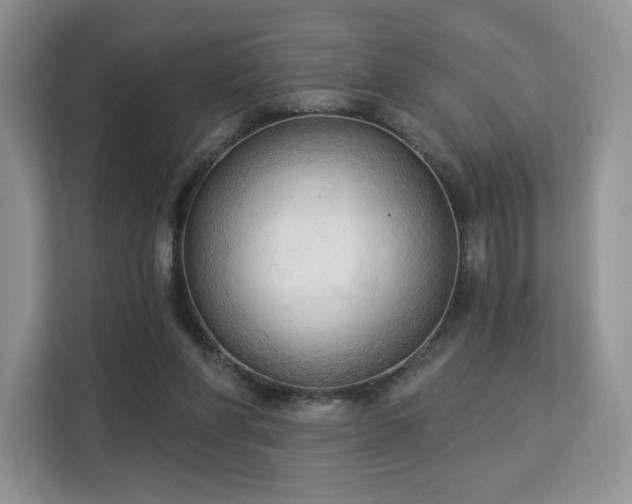 X0000113130206200909110920