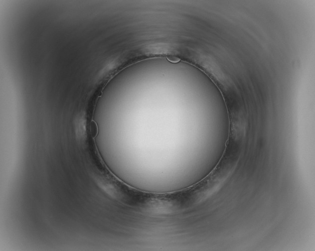 X0000113130207200909110920