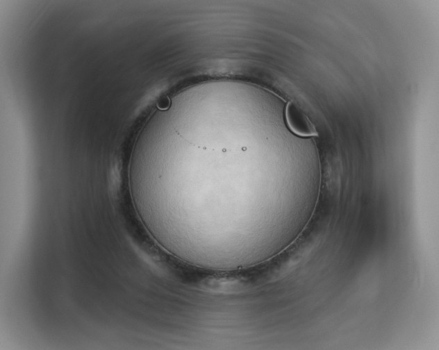 X0000113130208200909110920