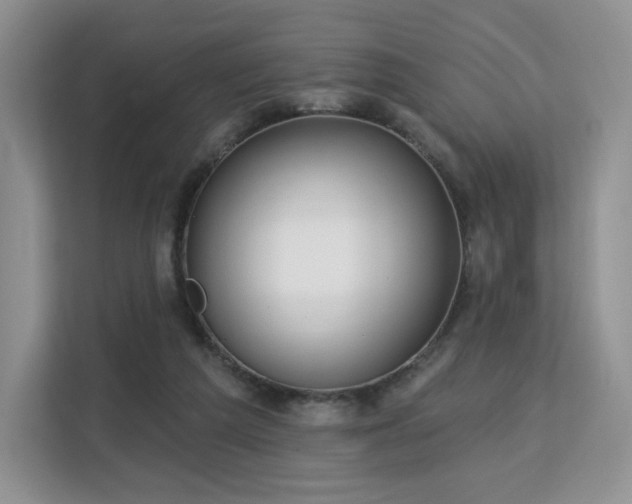 X0000113130209200909110920