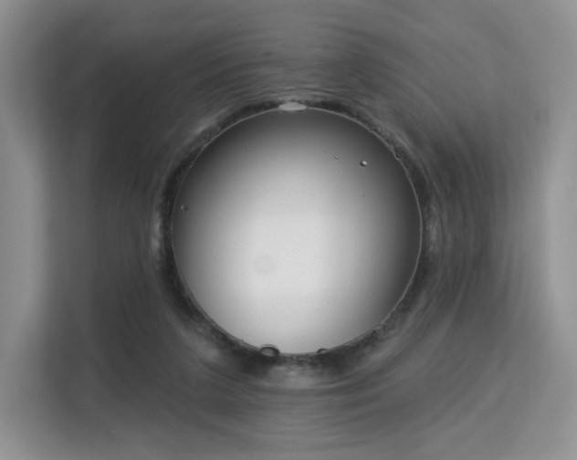 X0000113130211200909110920