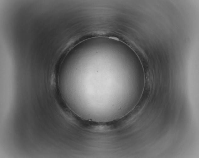 X0000113130212200909110920