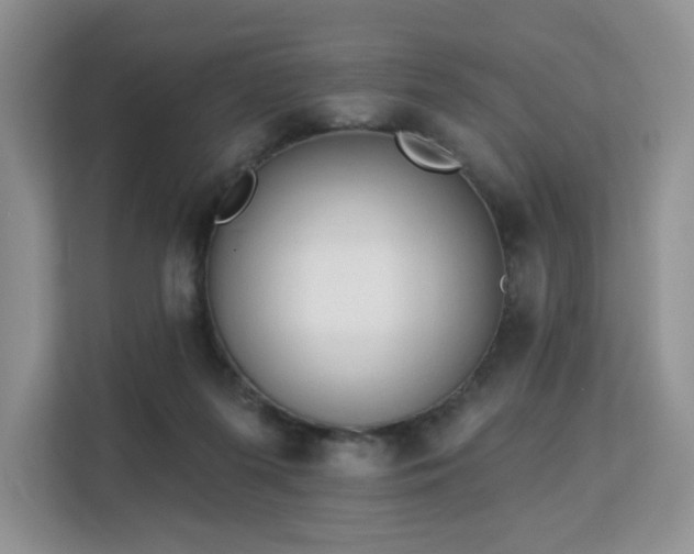 X0000113130215200909110920