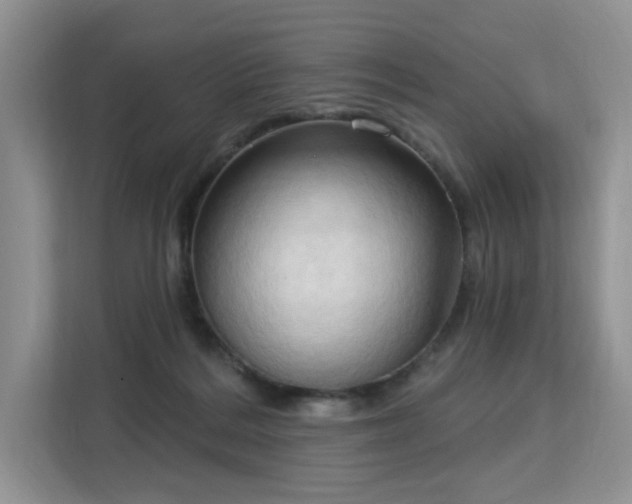 X0000113130220200909110920