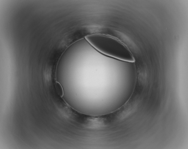 X0000113130221200909110920