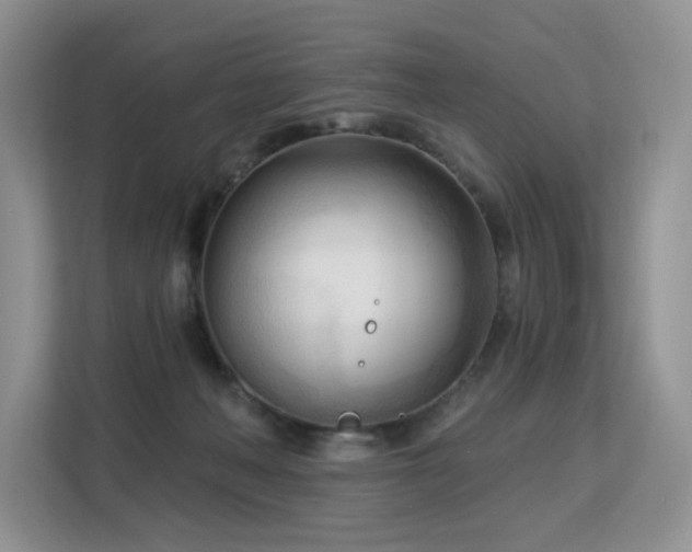 X0000113130222200909110920