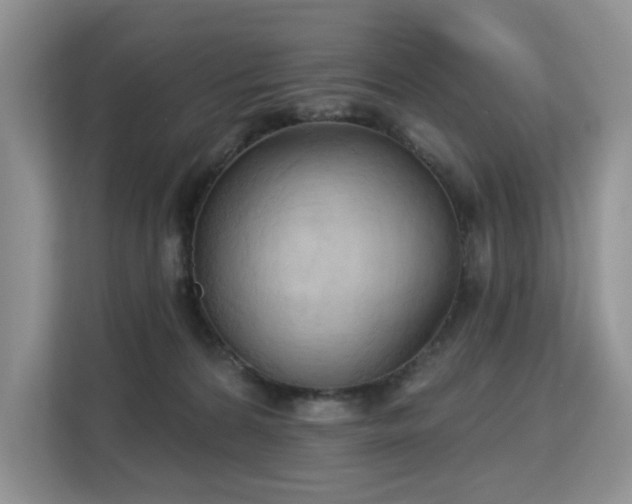 X0000113130224200909110920