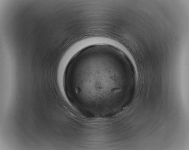 X0000113130227200909110920