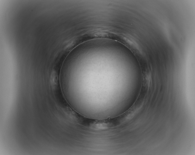 X0000113130228200909110920