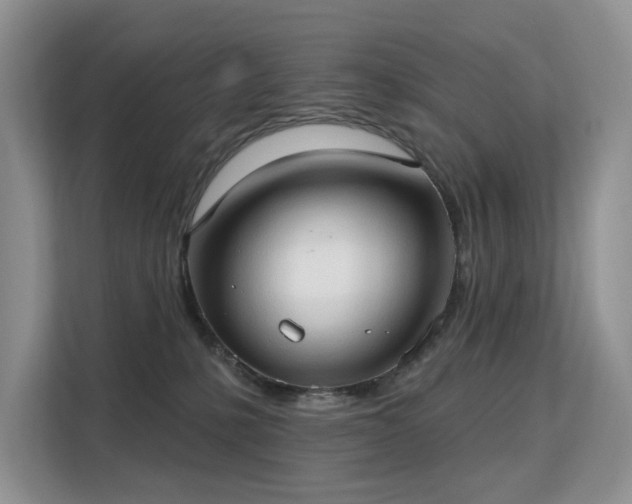 X0000113130231200909110920