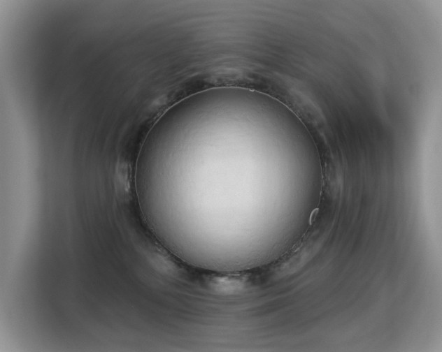 X0000113130232200909110920