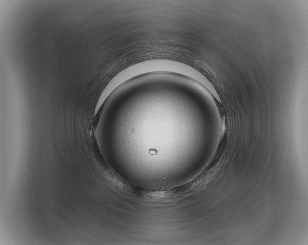 X0000113130237200909110920