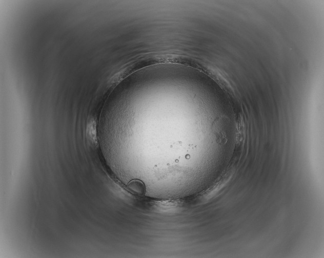 X0000113130238200909110920