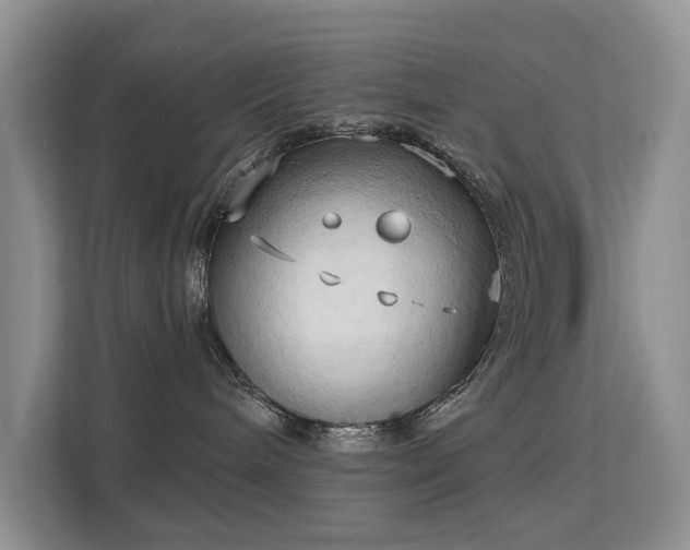 X0000113130240200909110920