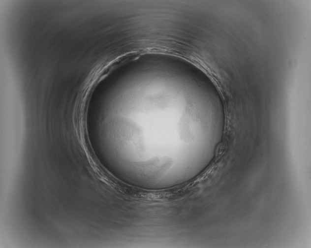 X0000113130241200909110919