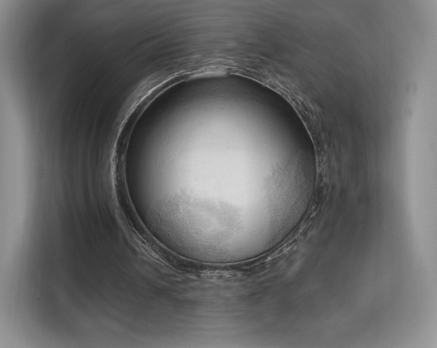 X0000113130242200909110919